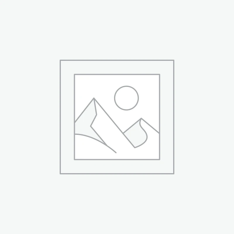 Classeurs à anneaux