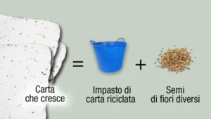 Carta seme germoglia