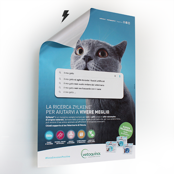 Poster elettrostatico personalizzato Vetoquinol gadget personalizzato gatto