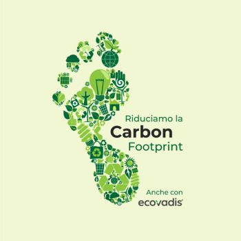 CarbonFootprintEcovadis2025