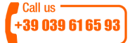 Toll-free number telephone it