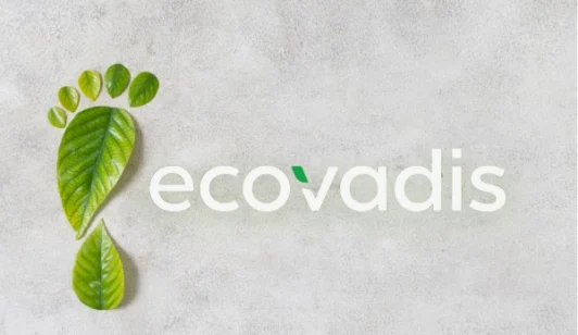 ecovadis-blog