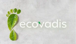 Our Ecovadis medal -ecovadis - blog - hero -blog