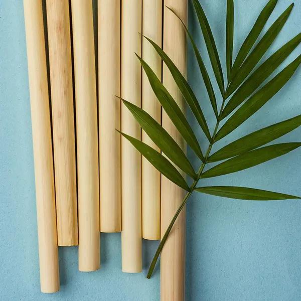 gadget bamboo rispettosi dell ambiente